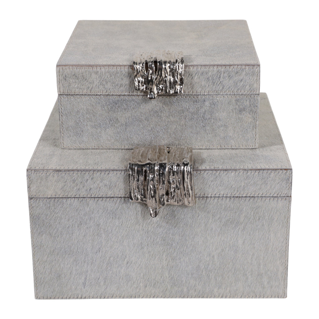 Cannonmoor Set of 2 Silver Boxes — 5″