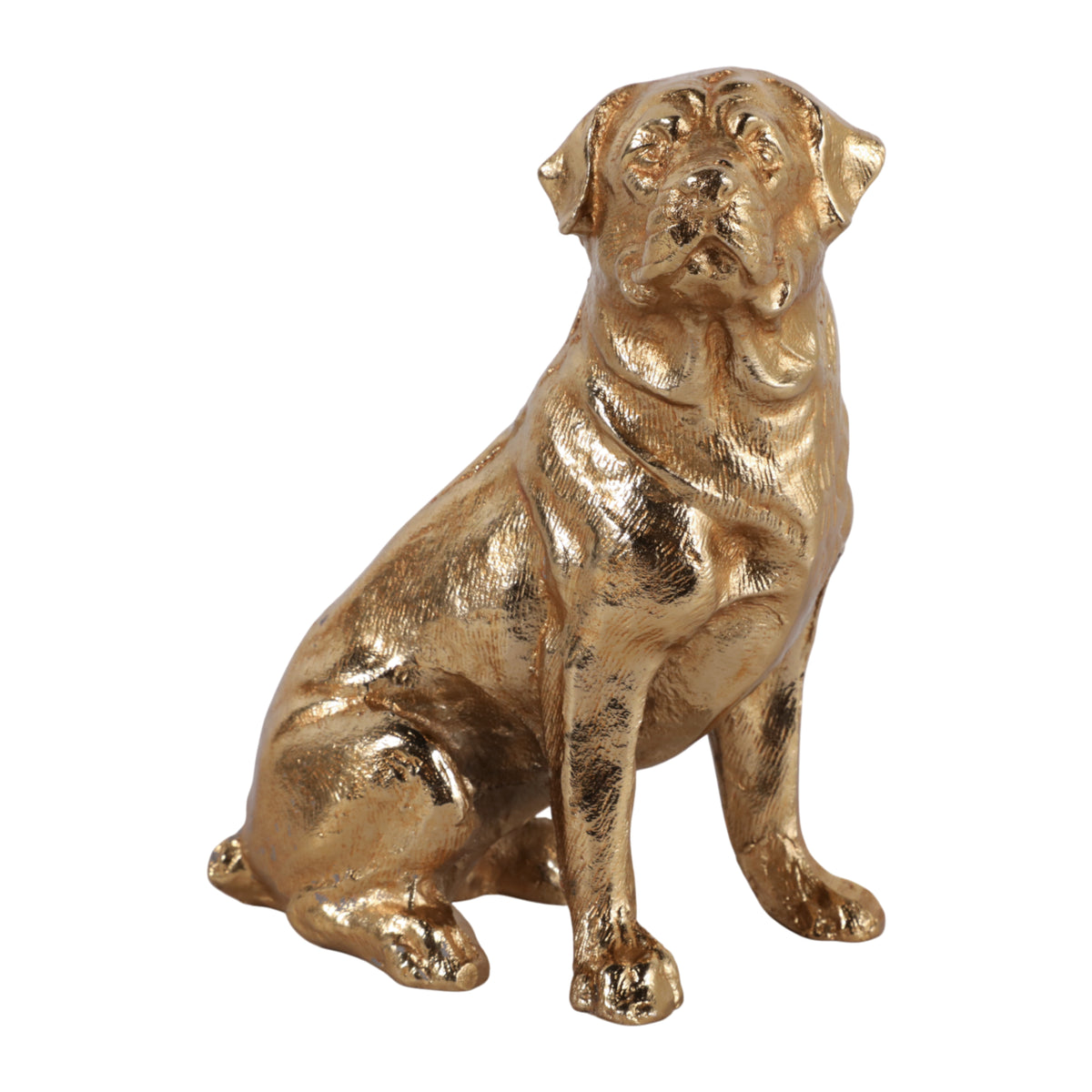 Ivymill Gold Decor — 7″