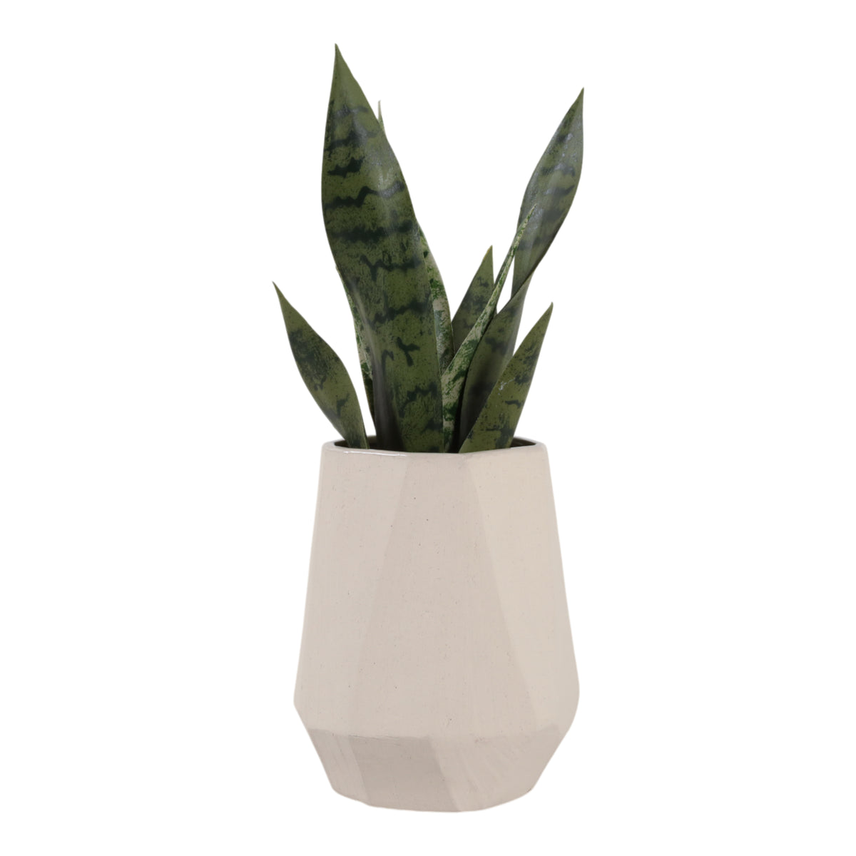 Enochwick White Vase — 9″ — additional view