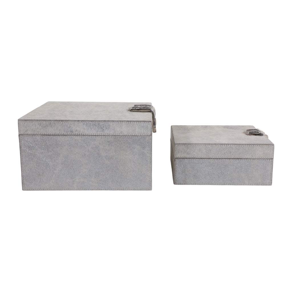 Cannonmoor Set of 2 Silver Boxes — 5″ — additional view